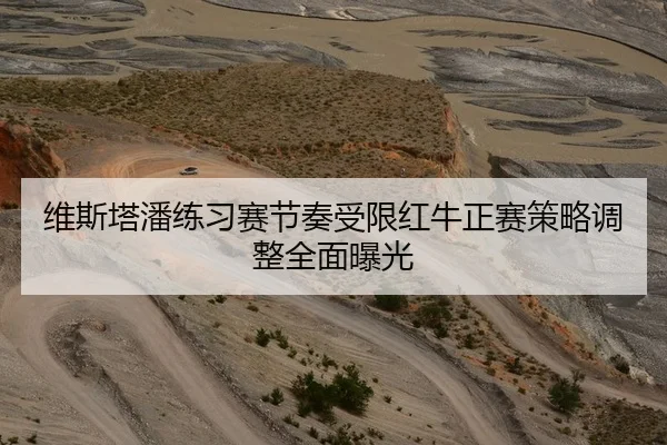 维斯塔潘练习赛节奏受限红牛正赛策略调整全面曝光